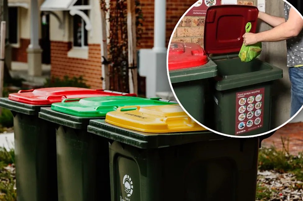 Bins lined up at the kerb with the lids closed, ready for collection
