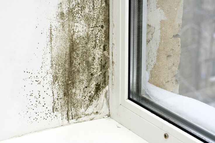 Mould growing in the corner of a window frame