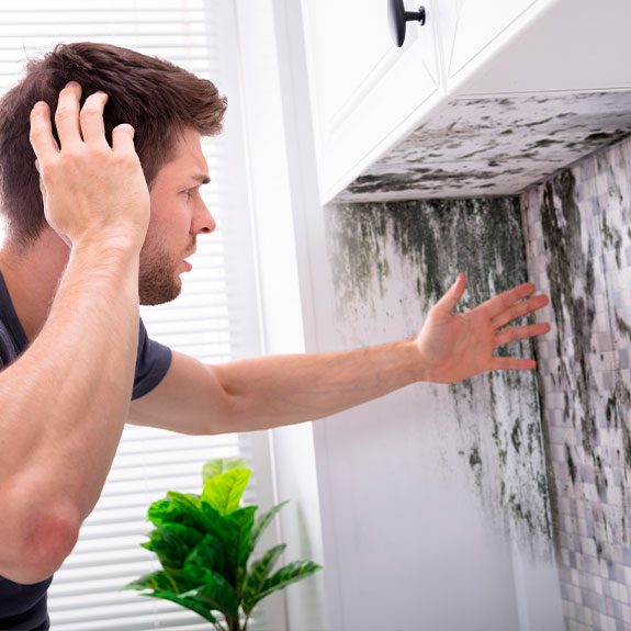 Extensive mould spreading across a kitchen wall